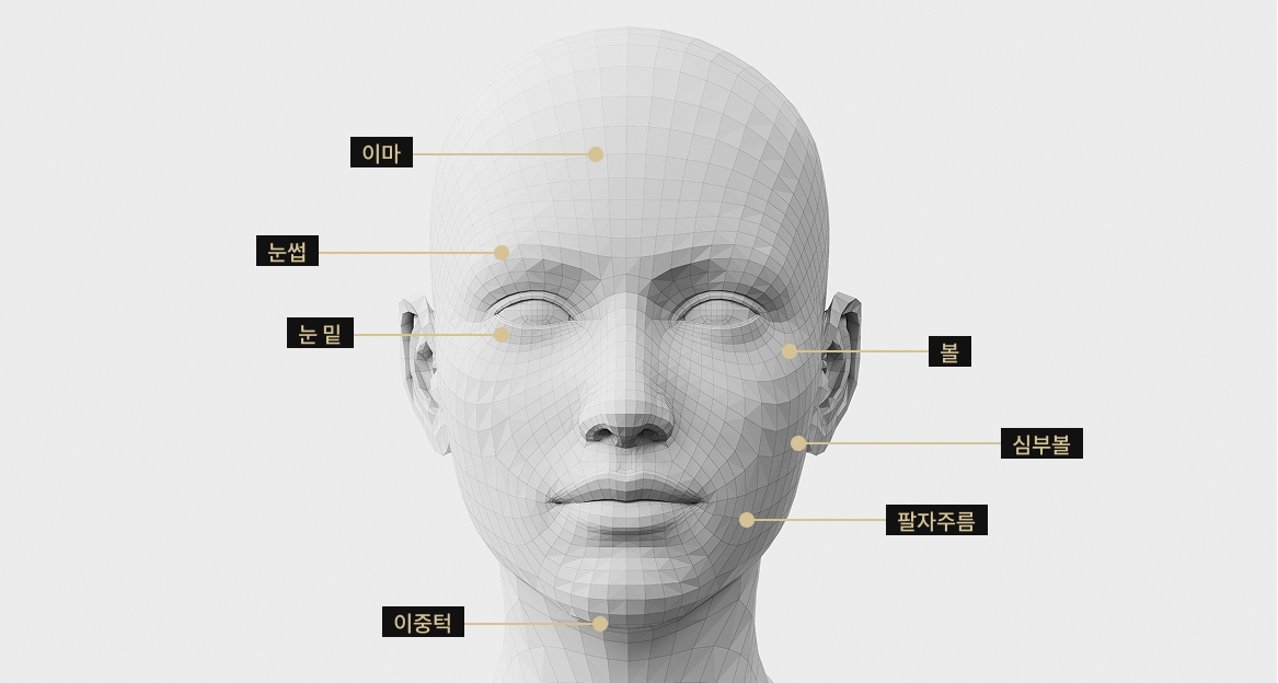 이마, 눈썹, 볼, 팔자주름, 이중턱, 눈 밑, 심부볼 등 브이로 리프팅 시술 부위를 표시한 얼굴 모델 이미지
