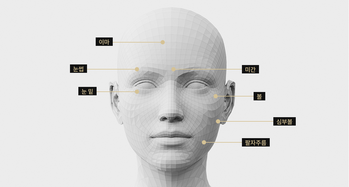 이마, 눈썹, 볼, 팔자주름, 눈 밑, 심부볼, 미간 등 포텐자 시술 부위를 표시한 얼굴 모델 이미지