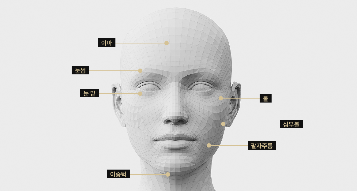 써마지 FLX 적용 부위를 표시한 3D 얼굴 모델 이미지