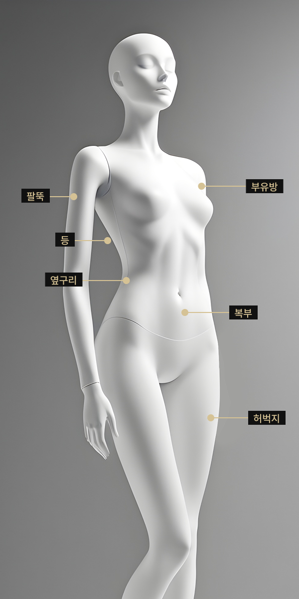 복부, 부유방, 허벅지, 팔뚝, 등, 옆구리 등 바디 하이푸 시술 부위를 표시한 바디 모델 이미지