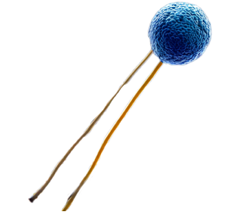 손상된 피부 장벽을 보호하고 회복을 돕는 Lipids 성분 작용 원리 설명 이미지