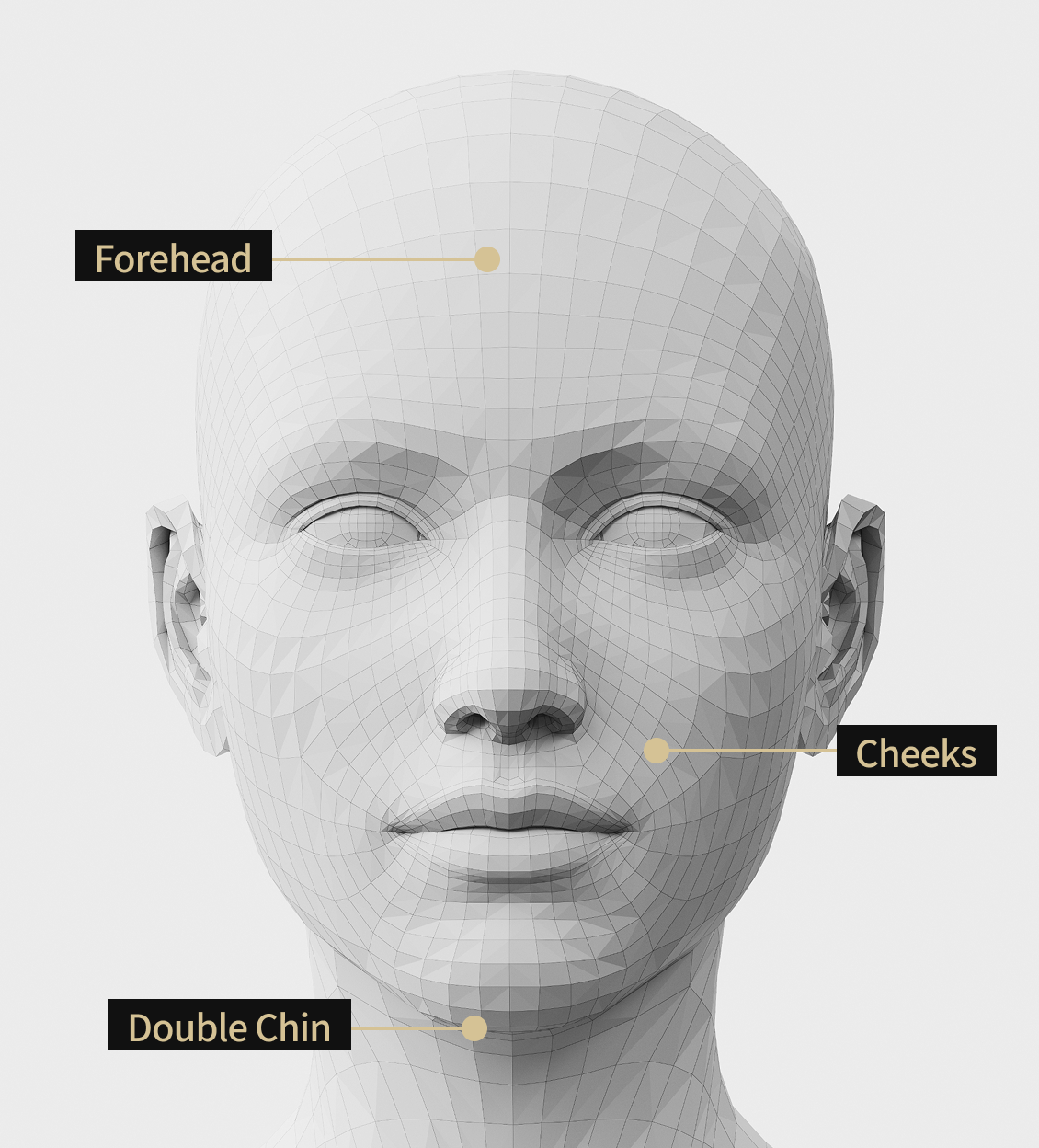 3D face model frontal image