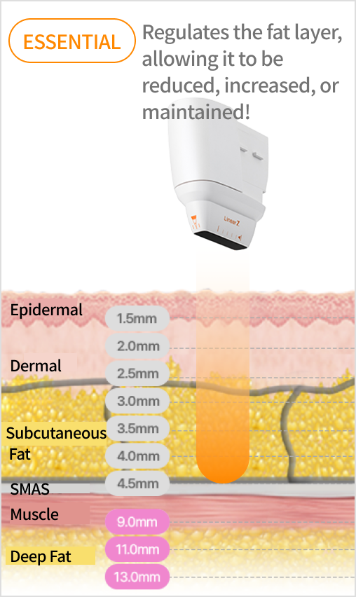 Image explaining the linear structure that precisely targets the dermis and SMAS layers by adjusting the cartridge depth.
