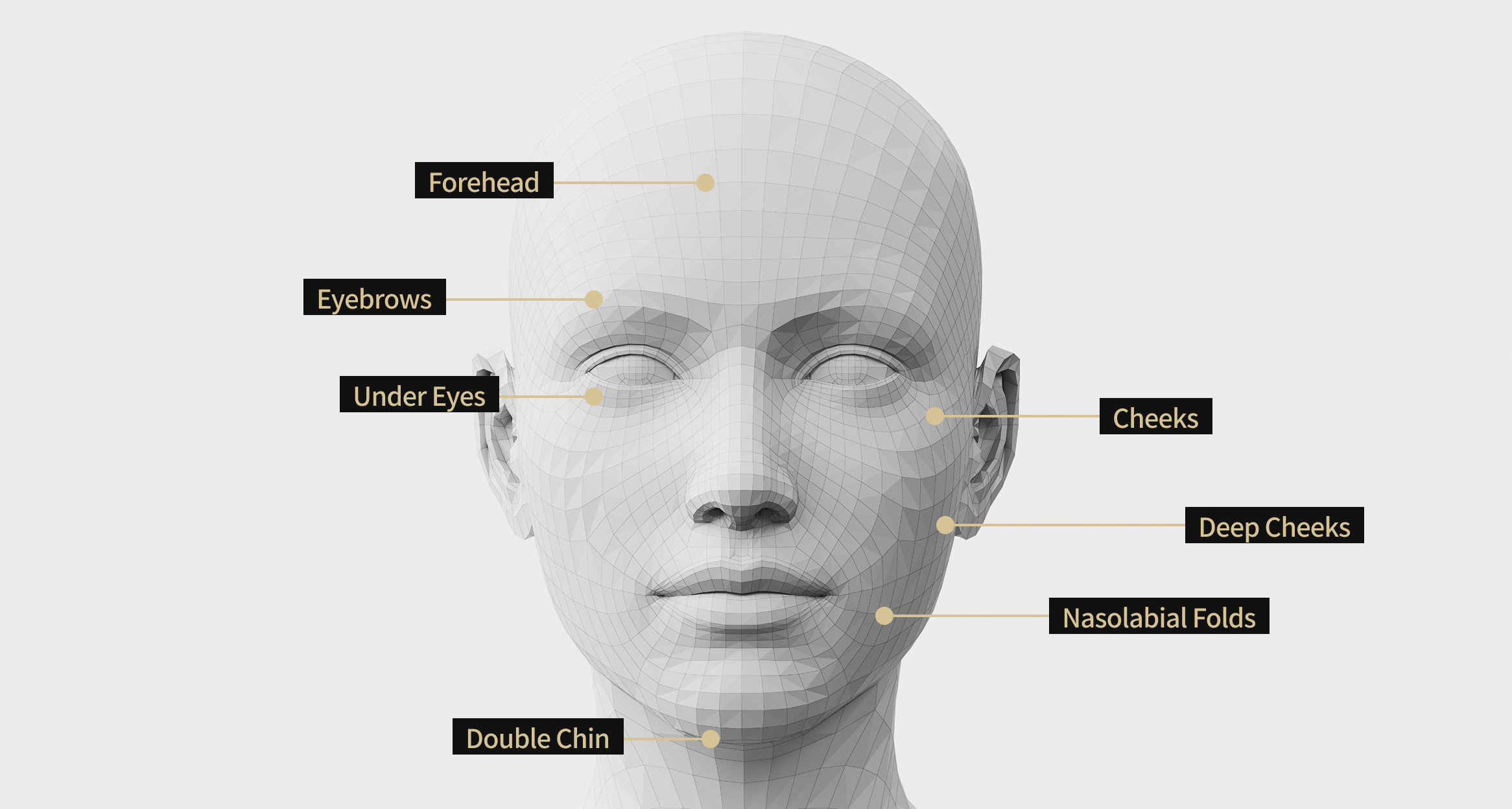 Face model image showing areas for V-shaped lifting, including the forehead, eyebrows, cheeks, nasolabial folds, double chin, under-eye area, and deep cheekbones.