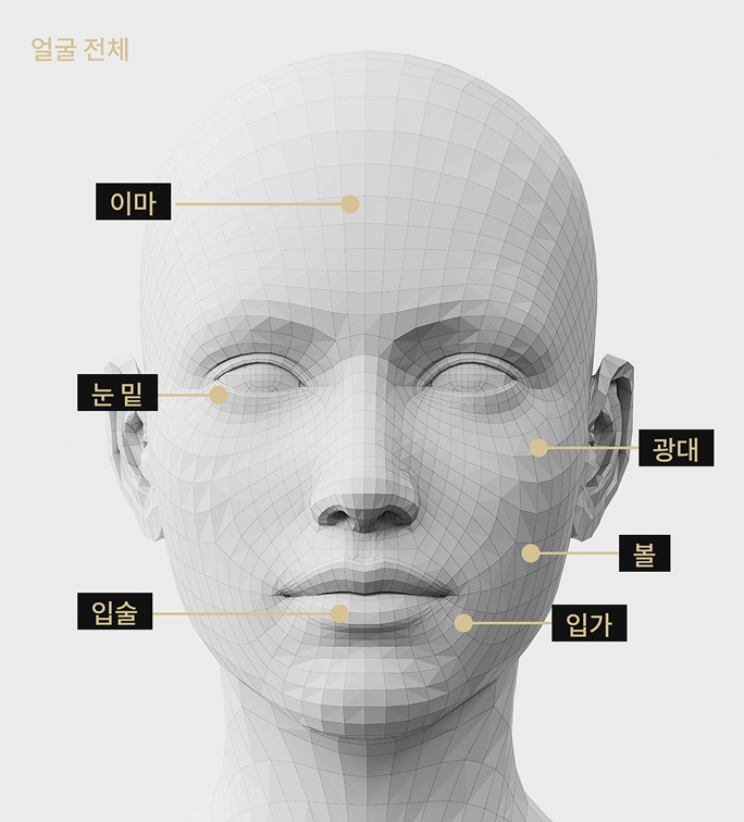 이마, 광대, 눈 밑, 입가, 입술, 볼 등 릴리이드M 시술 부위를 표시한 얼굴 모델 이미지