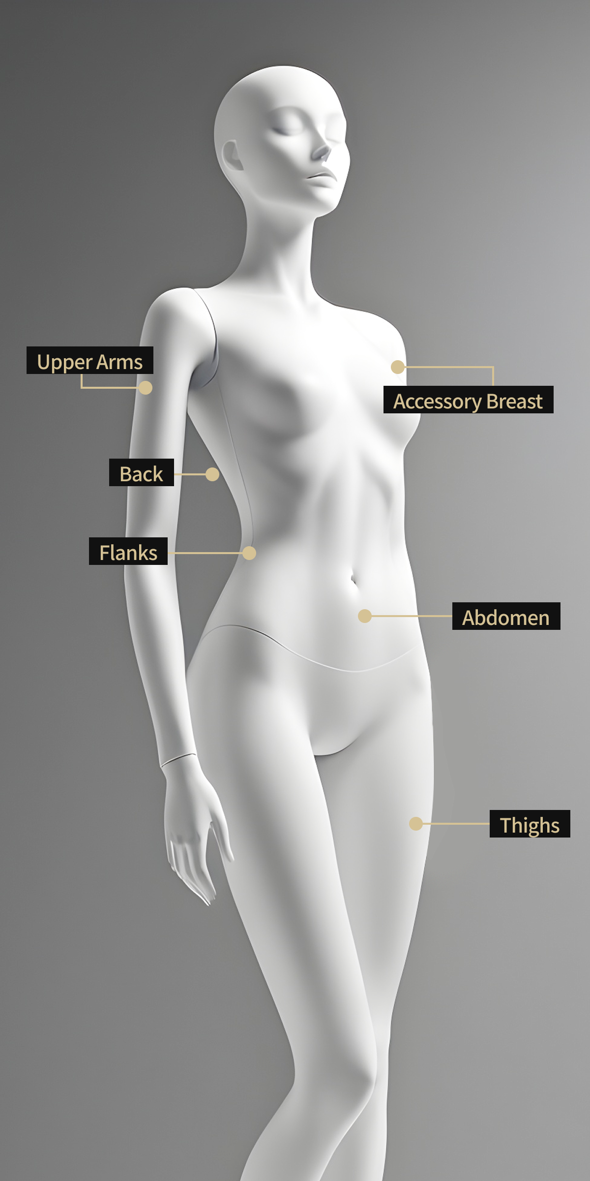 Body model image showing areas to be treated with body HIFU, including the abdomen, floating breasts, thighs, upper arms, back, and sides.