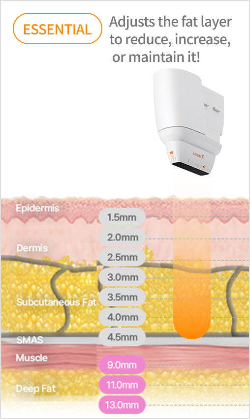 Image illustrating the ultrasound structure that uses a cartridge with a depth of 9 to 13 mm to target specific body parts.