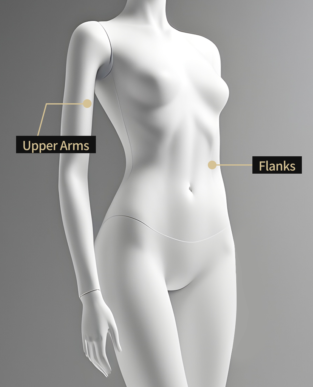 Body image showing the areas where Onda Lifting is applied (upper body)