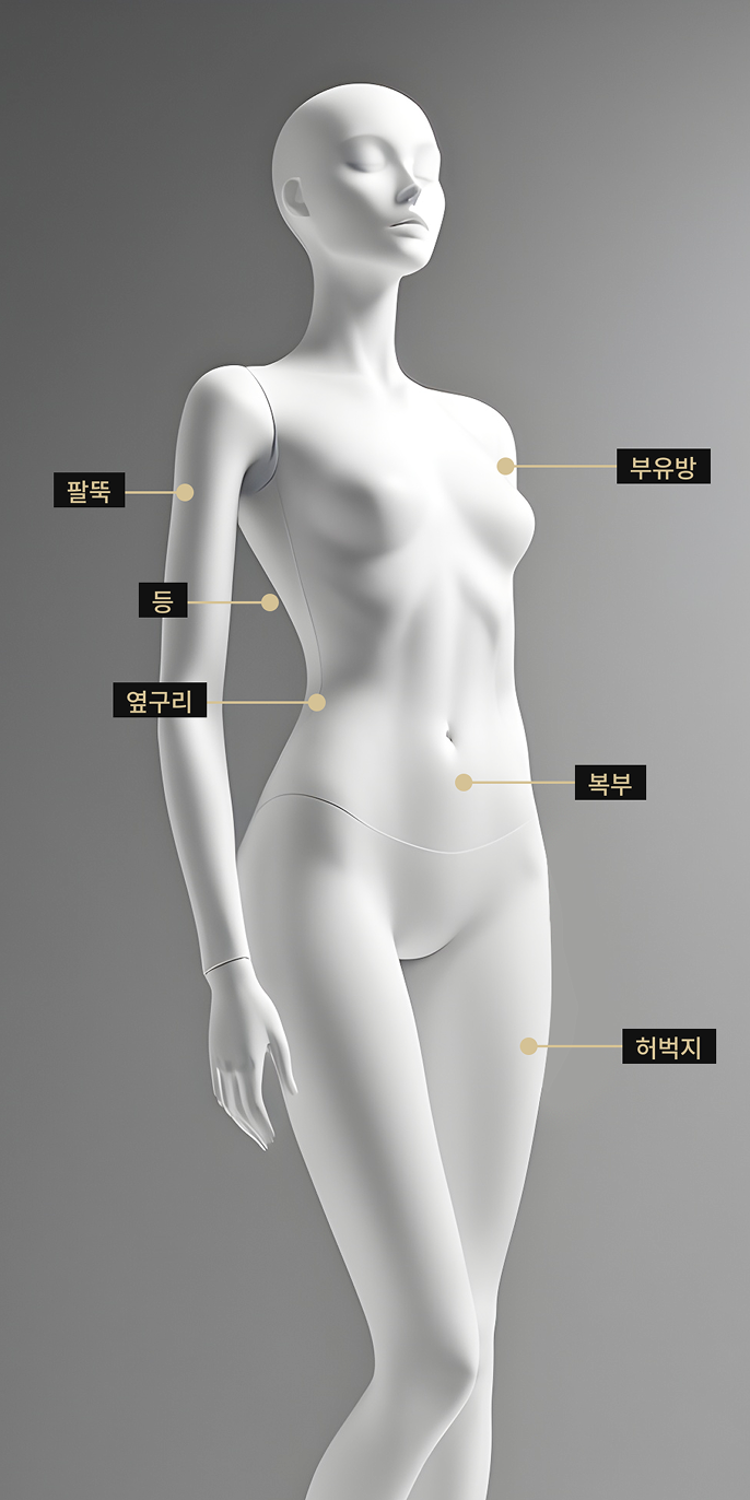 복부, 부유방, 허벅지, 팔뚝, 등, 옆구리 등 바디 인모드 시술 부위를 표시한 바디 모델 이미지