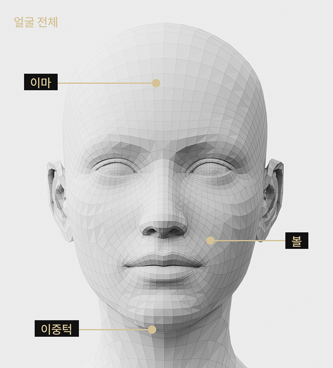 3D 얼굴 모델 정면 이미지