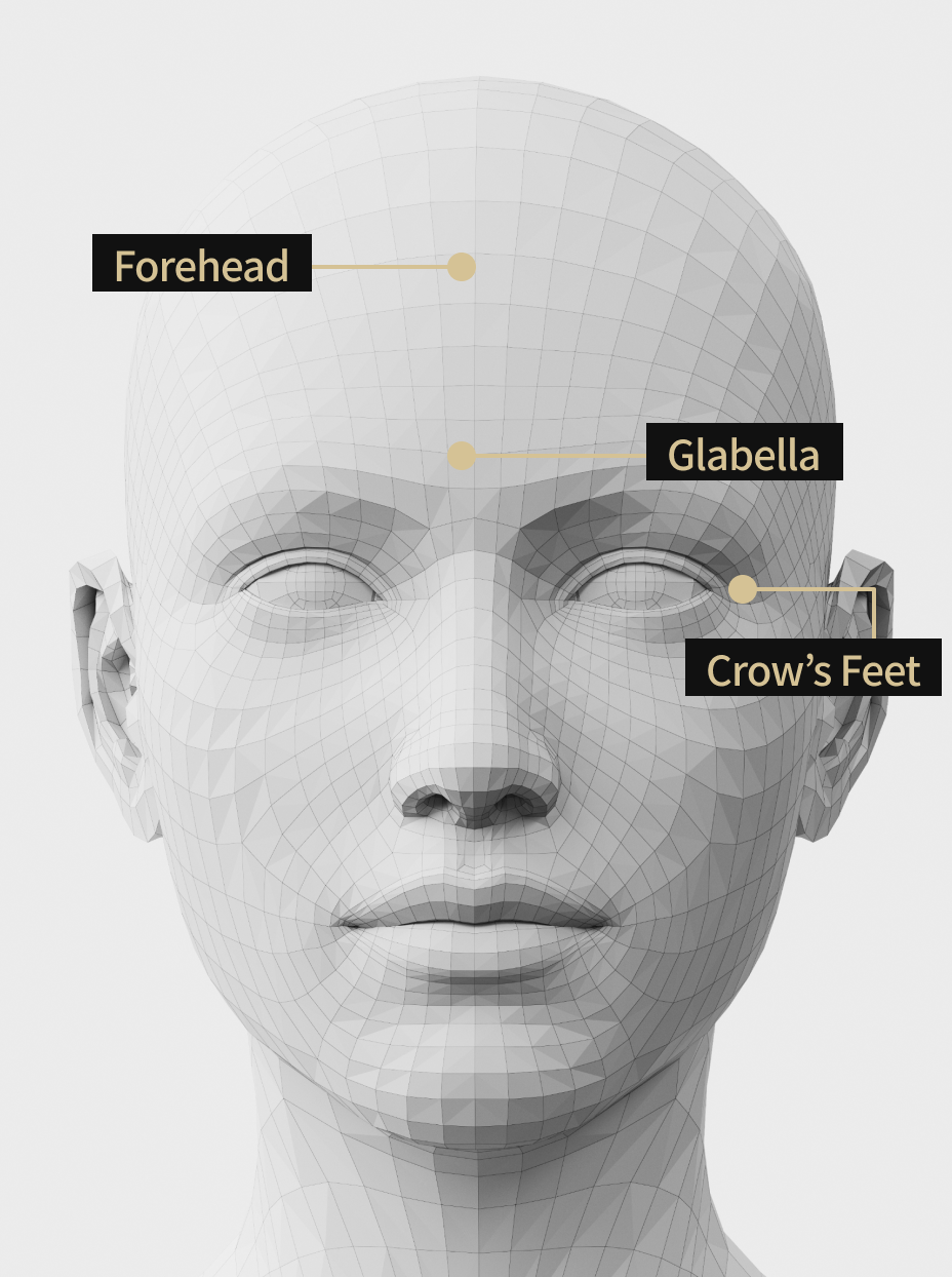 Facial area guide image showing areas where skin botox can be applied, such as the forehead, between the eyebrows, and around the eyes.
