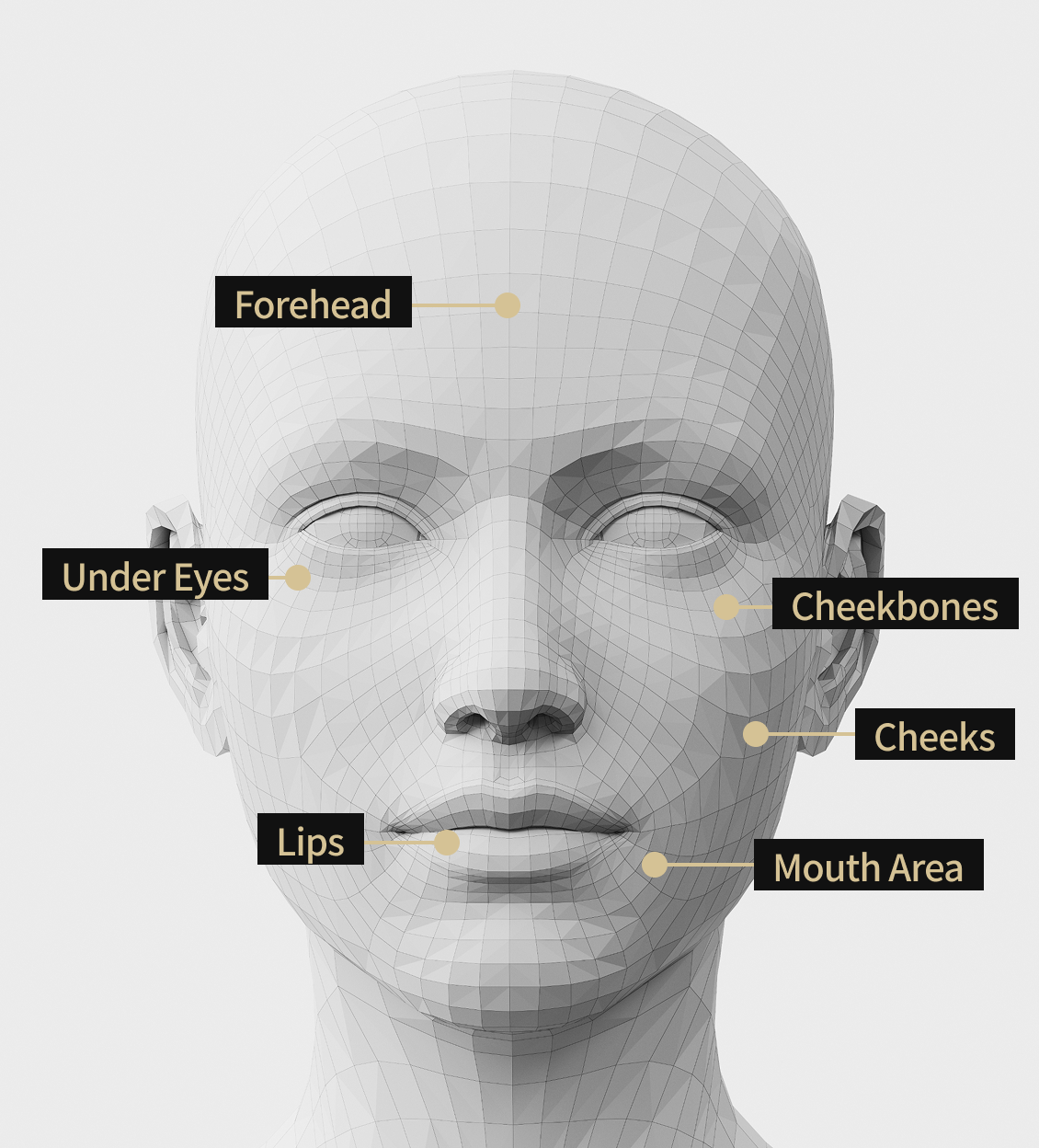 Face model image showing the areas where Liliid M was treated, including the forehead, cheekbones, under the eyes, corners of the mouth, lips, and cheeks.