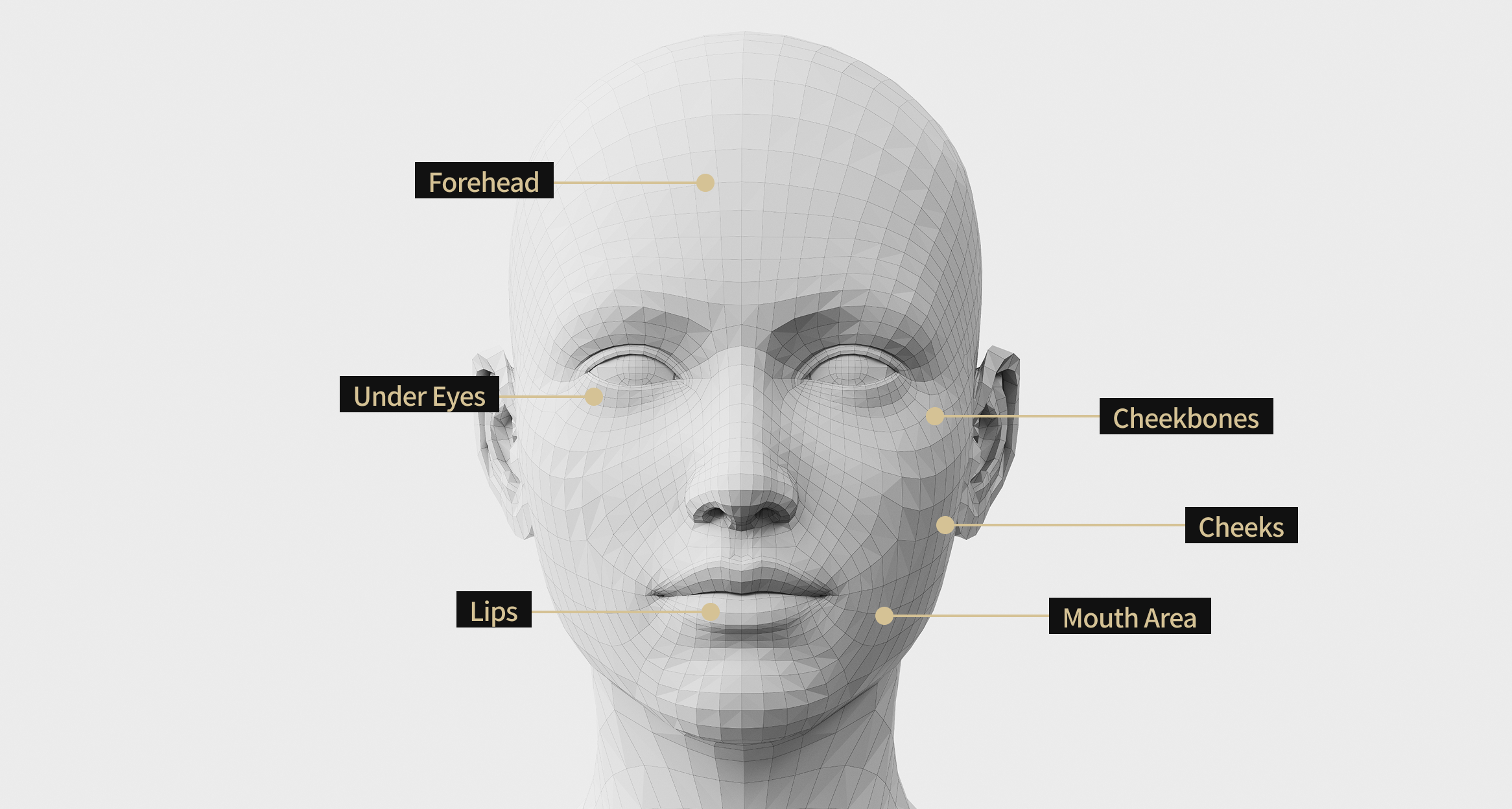 3D face model image showing the area where Skin Vibe is applied