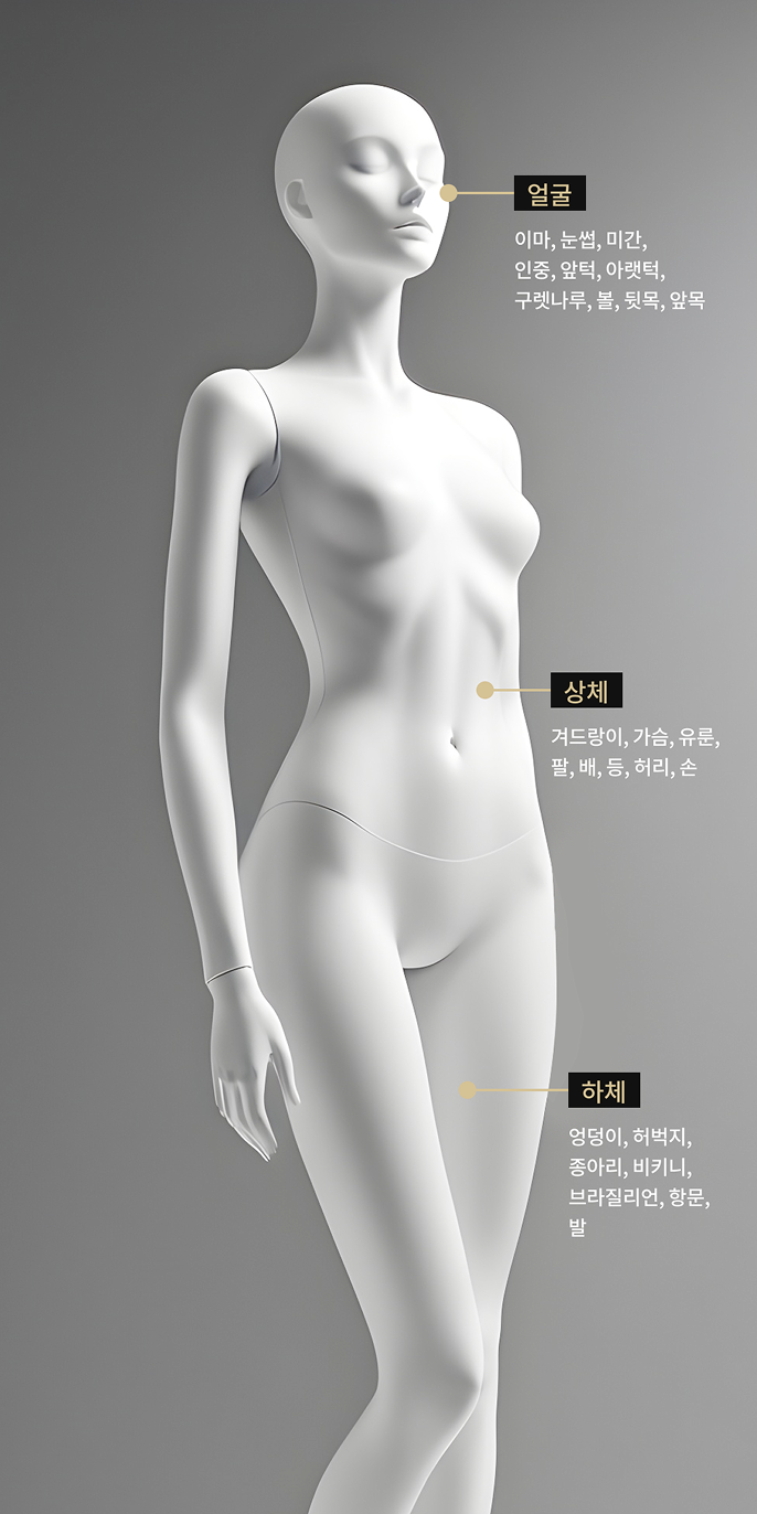 전신 제모가 가능한 아포지 플러스 시술 부위를 표현한 바디 모델 이미지