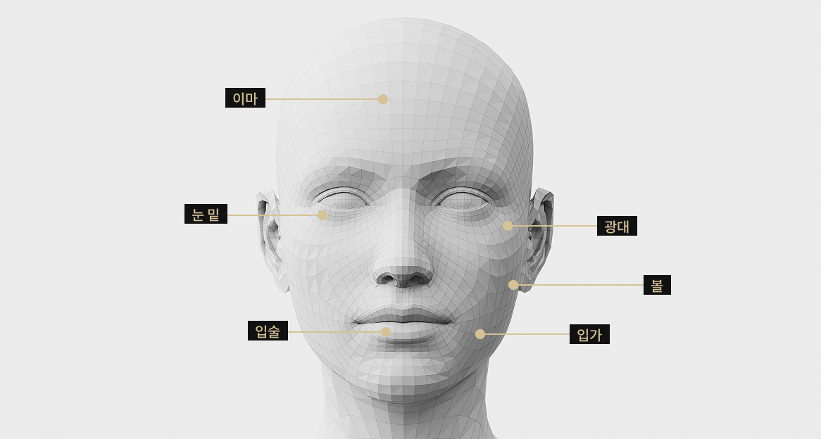 이마, 광대, 눈 밑, 입가, 입술, 볼 등 비타란 시술 가능 부위를 표시한 얼굴 모델 이미지