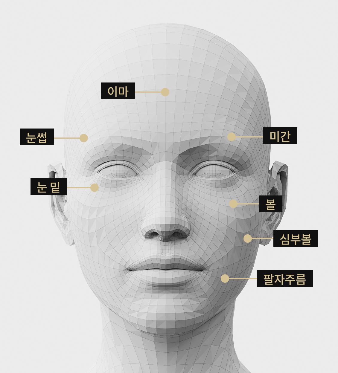 이마, 눈썹, 볼, 팔자주름, 눈 밑, 심부볼, 미간 등 포텐자 시술 부위를 표시한 얼굴 모델 이미지