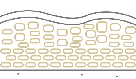엑소좀 주입 전 콜라겐과 엘라스틴 활성화를 표현한 피부 구조 설명 이미지