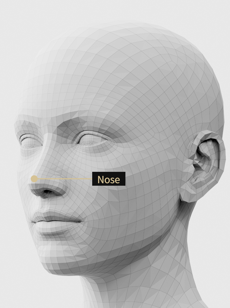 Image description of nose filler treatment that naturally improves the bridge, bridge, and tip of the nose.