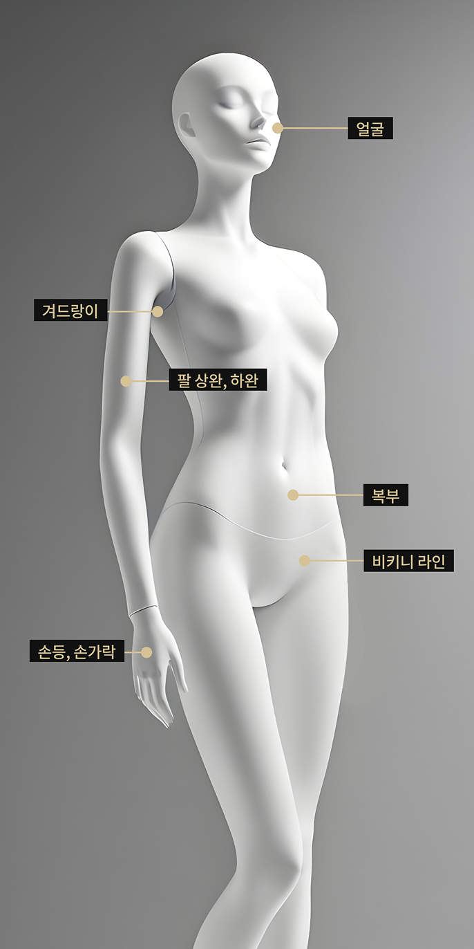 전신 제모가 가능한 클라리티 레이저 시술 부위를 표현한 바디 모델 이미지