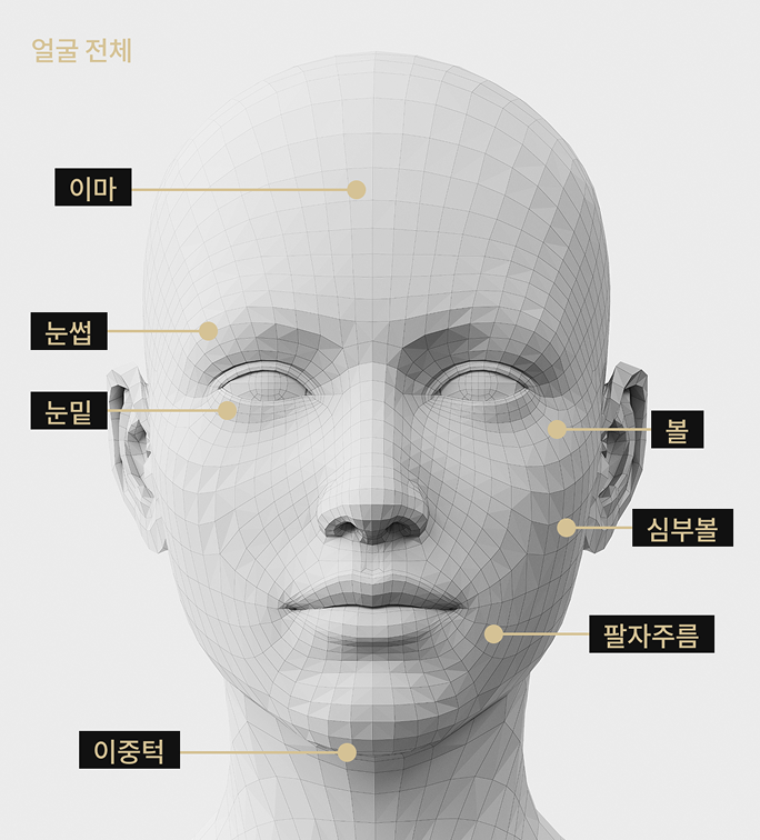 이마, 눈썹, 볼, 팔자주름, 이중턱, 눈 밑, 심부볼 등 티타늄 시술 부위를 표시한 얼굴 모델 이미지