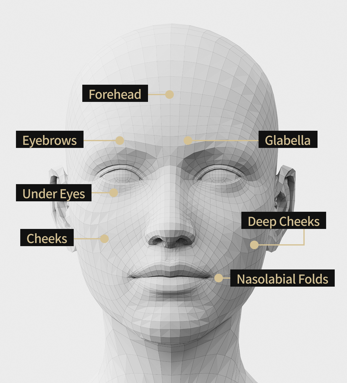 Face model image showing the areas where Potenza treatment is indicated, including the forehead, eyebrows, cheeks, nasolabial folds, under the eyes, deep cheeks, and between the eyebrows.