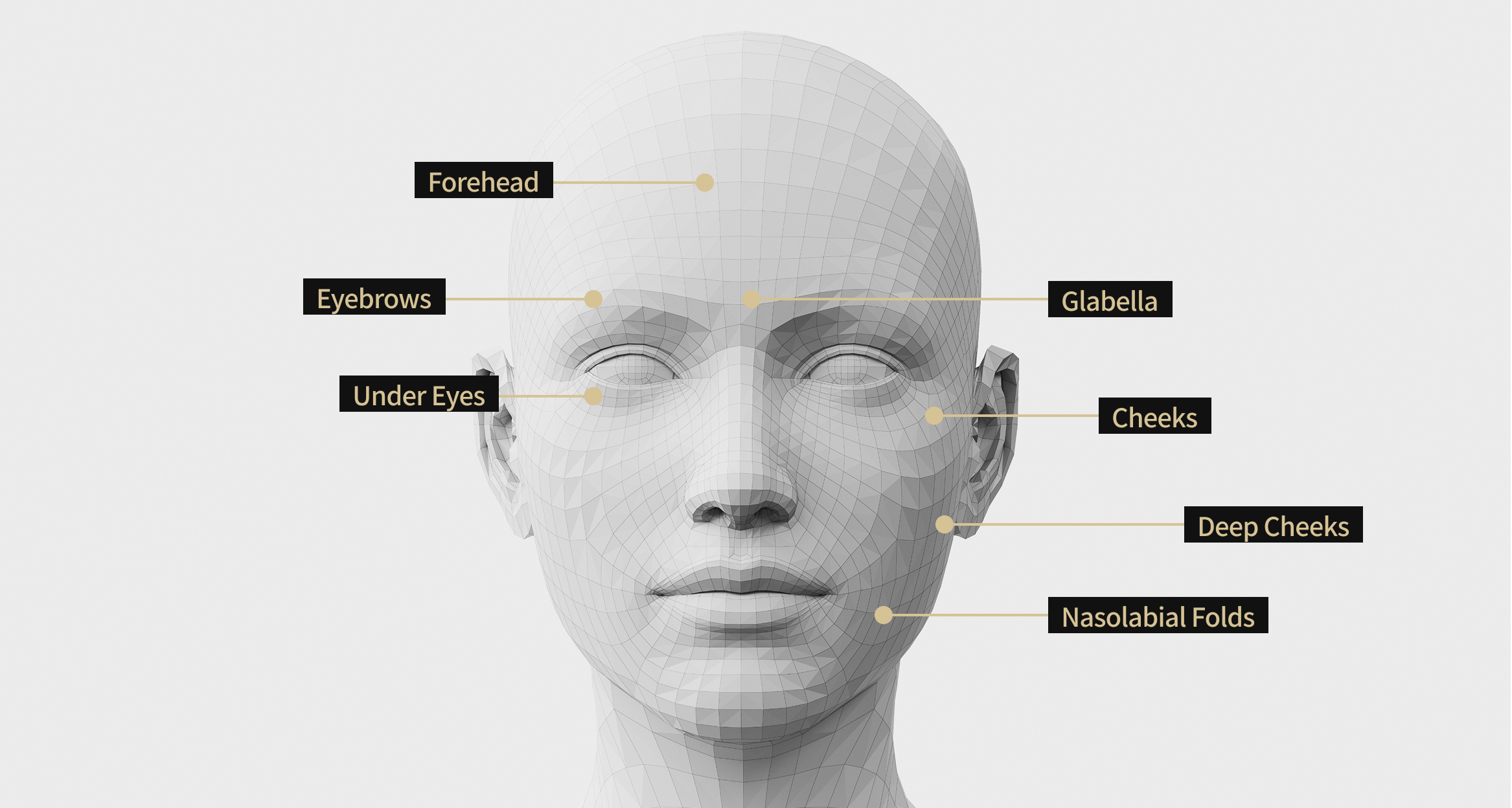 Face model image showing the areas where Potenza treatment is indicated, including the forehead, eyebrows, cheeks, nasolabial folds, under the eyes, deep cheeks, and between the eyebrows.