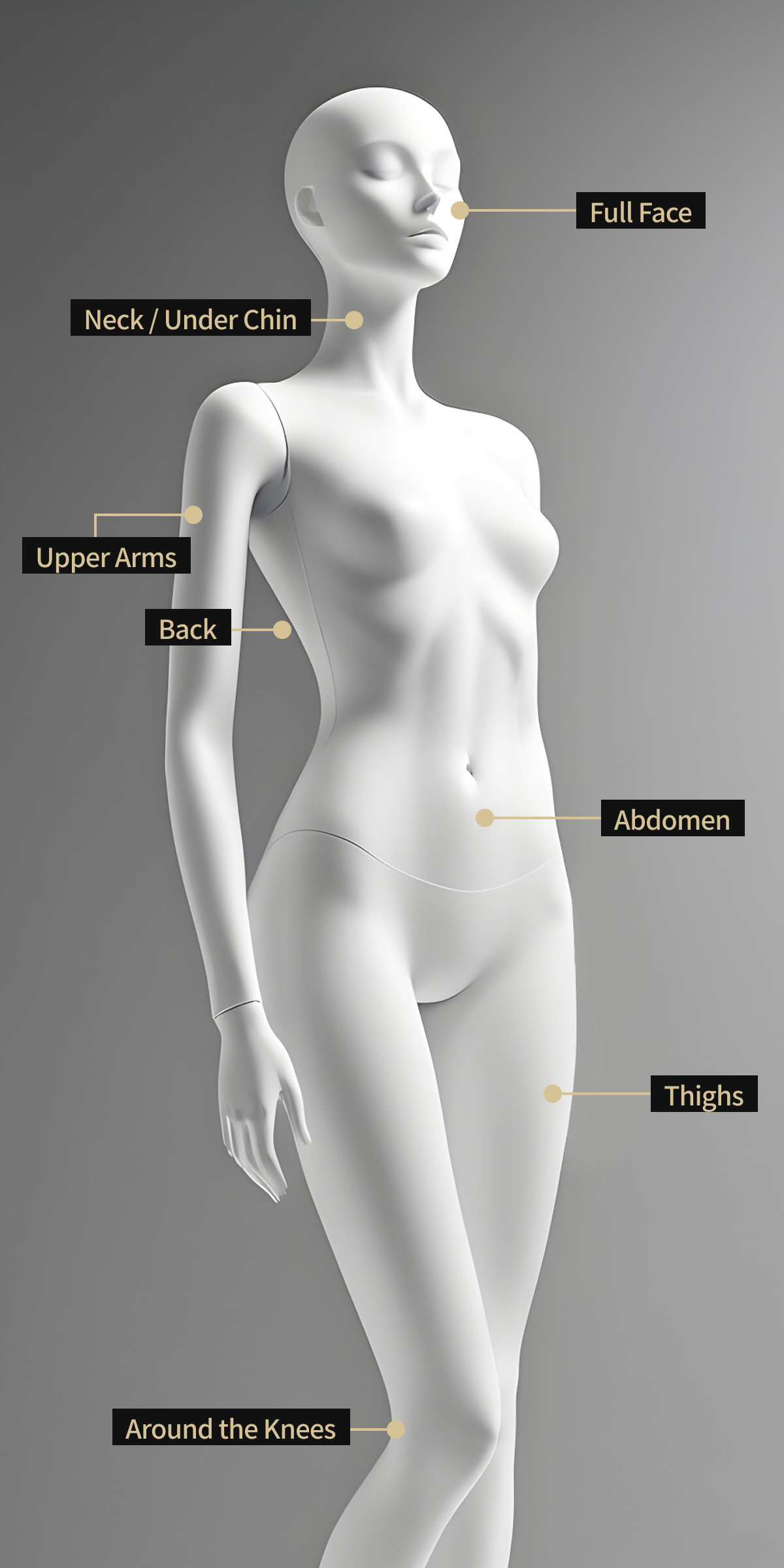 Body model image showing LDM treatment areas applicable to the entire face, neck, abdomen, thighs, upper arms, and back