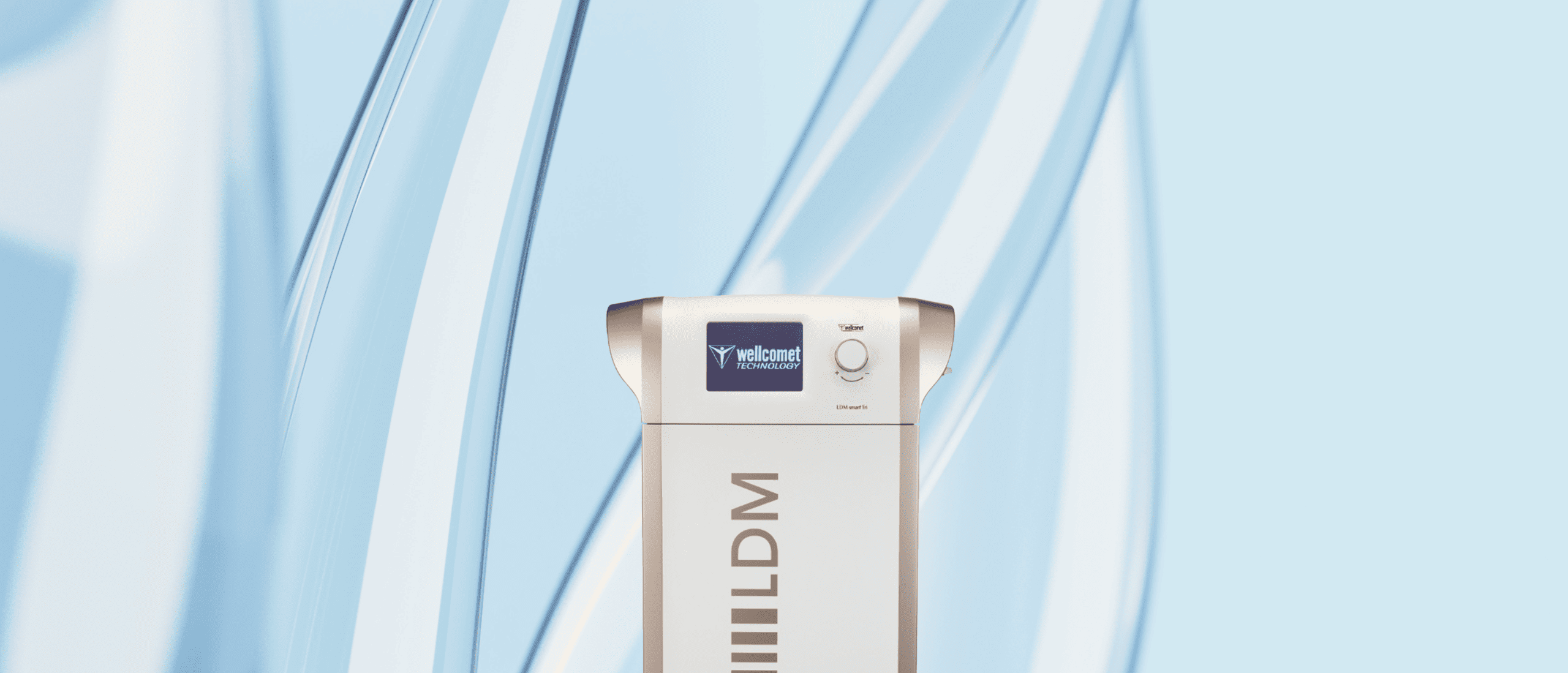 LDM