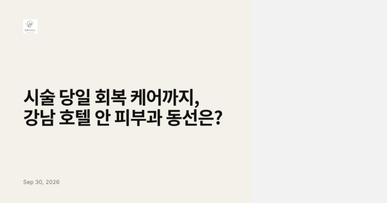시술 당일 회복 케어까지, 강남 호텔 안 피부과 동선은?